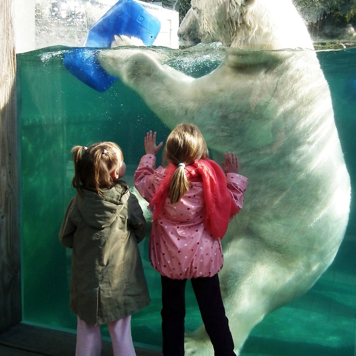 대출 기관 비교