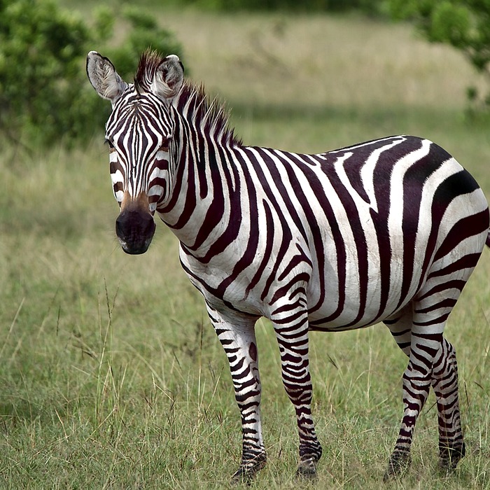 송파구 풍납2동
