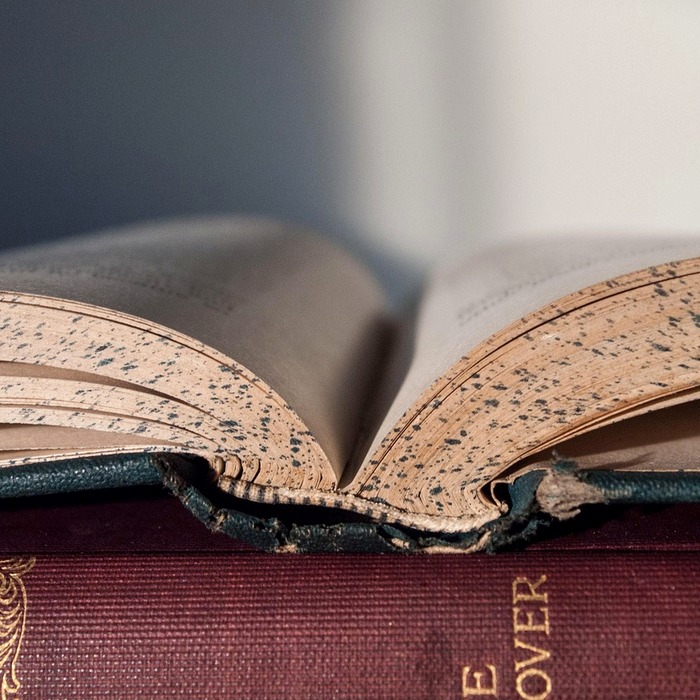 대치4동 교육열