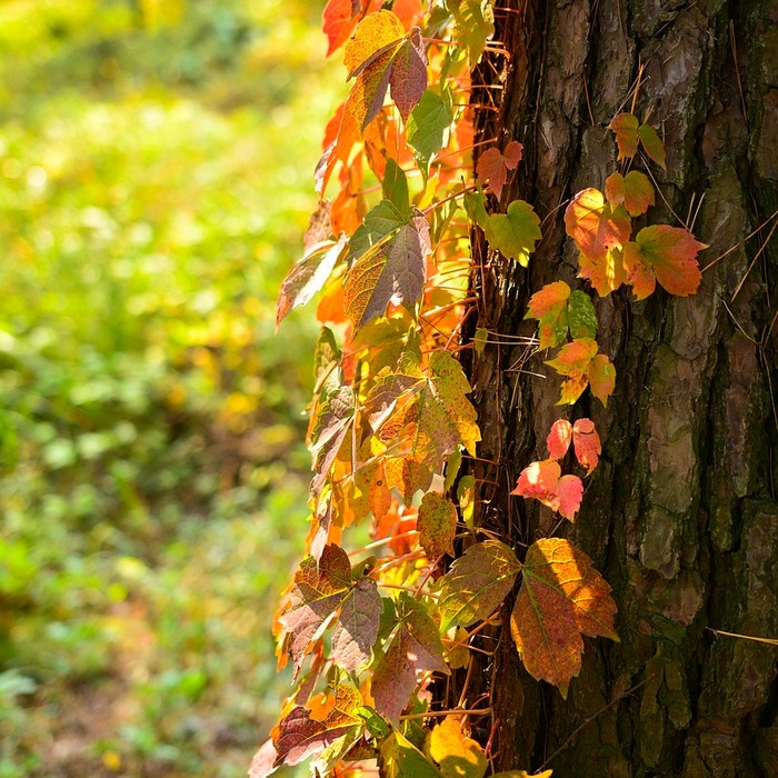 김포시 장기동 과외