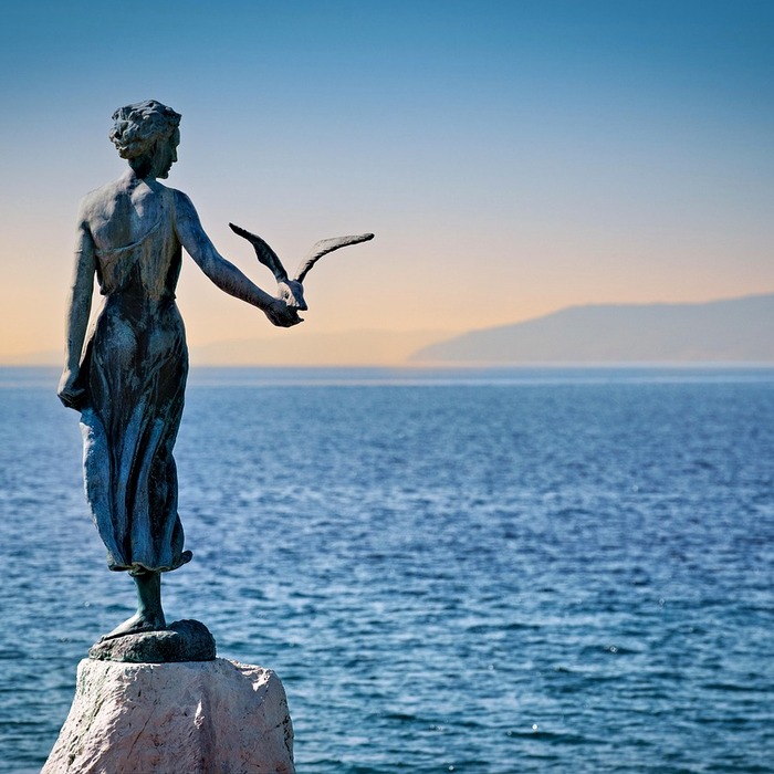 무료 과외 중개