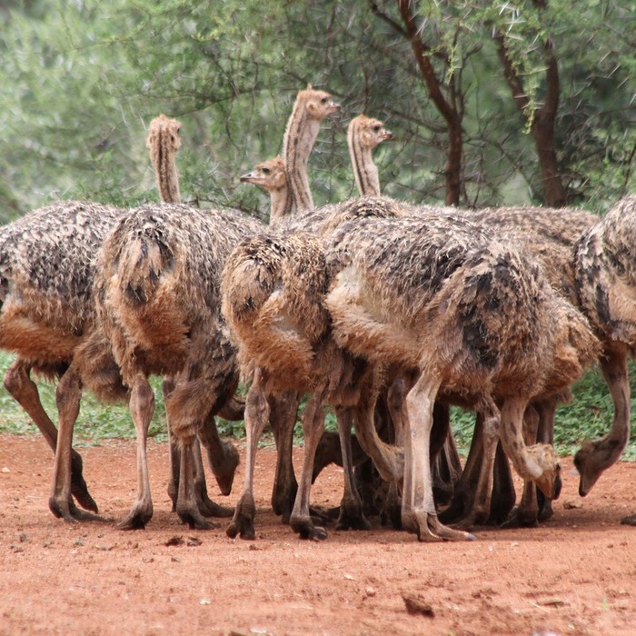영어 회화 학원