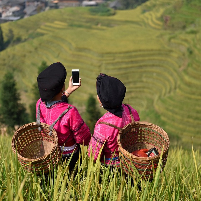 수학 소수 인원