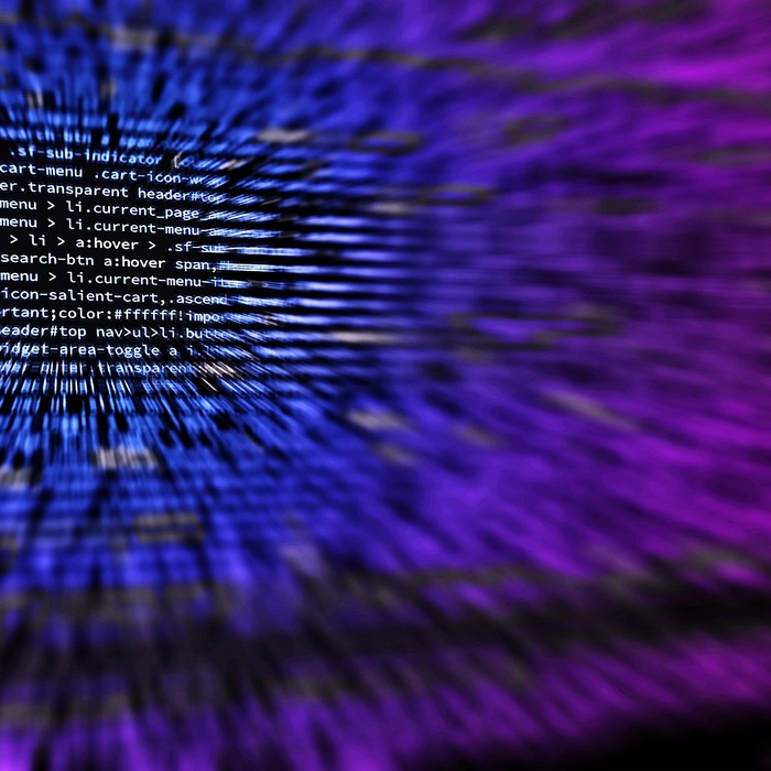 맞춤형 교육 프로그램