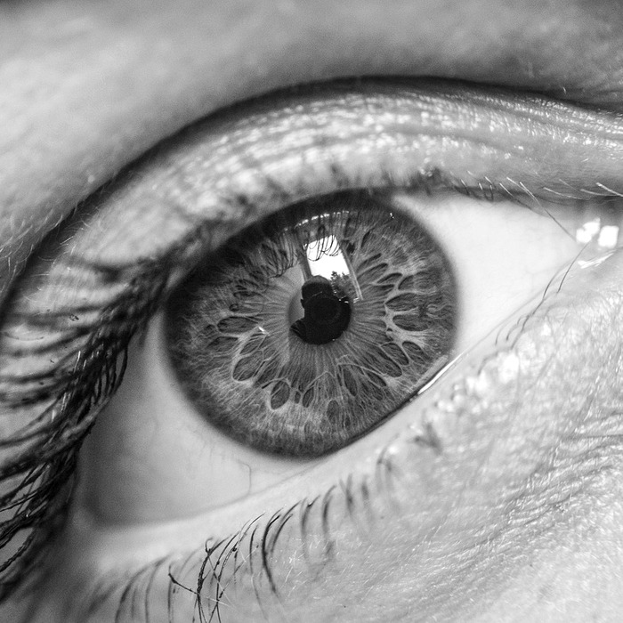 학생 이해도 체크