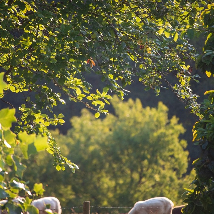소규모 그룹 수업