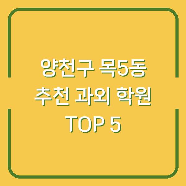 양천구 목5동 추천 과외 학원 TOP 5