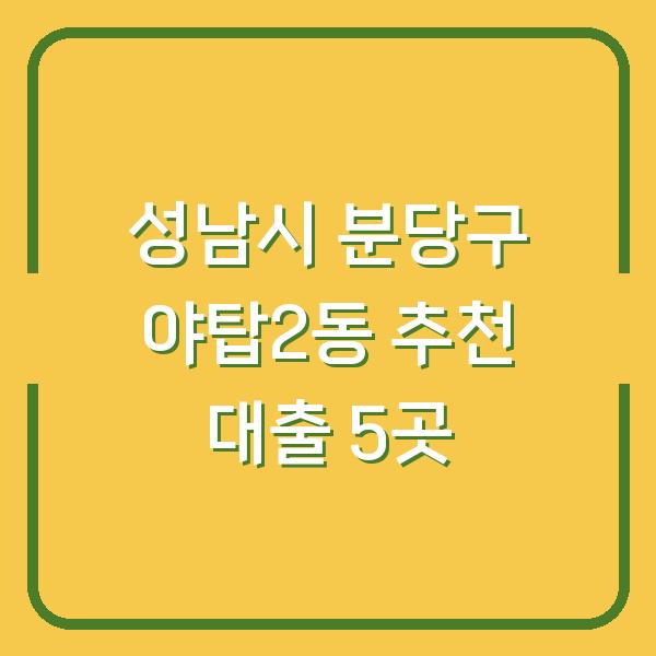 성남시 분당구 야탑2동 추천 대출 5곳