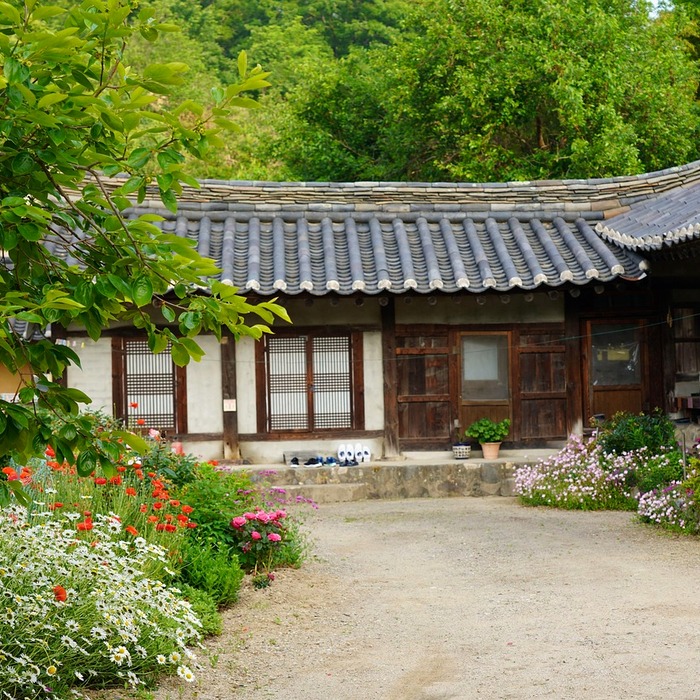 자두나무 전정