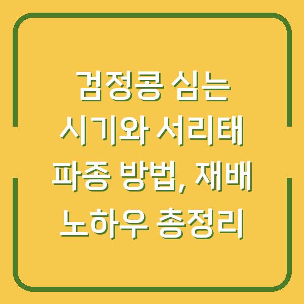 검정콩 심는 시기와 서리태 파종 방법, 재배 노하우 총정리