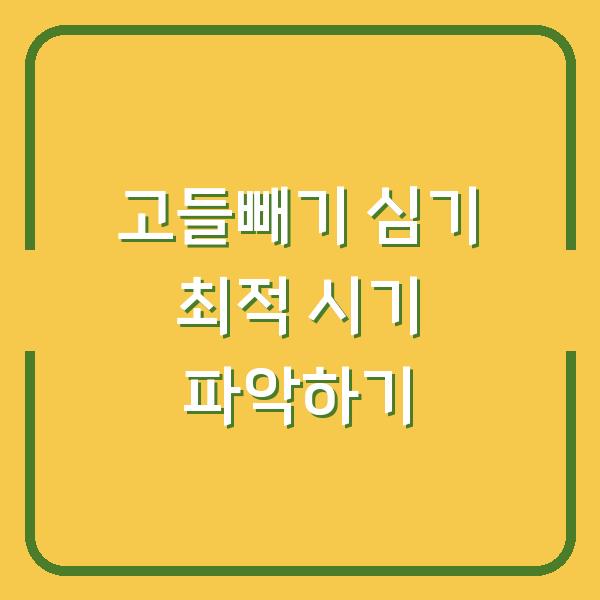 고들빼기 심기 최적 시기 파악하기
