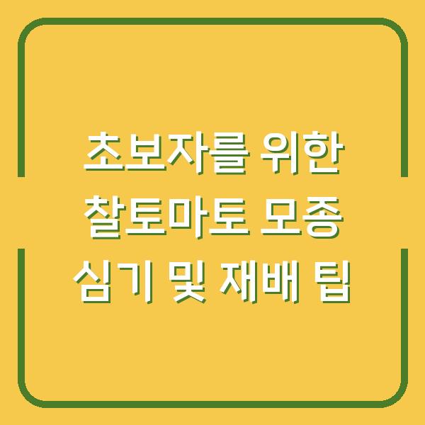 초보자를 위한 찰토마토 모종 심기 및 재배 팁
