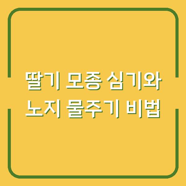 딸기 모종 심기와 노지 물주기 비법