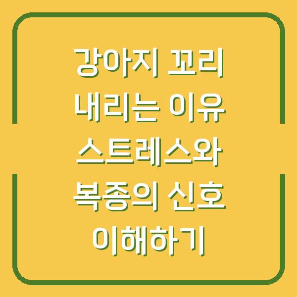 강아지 꼬리 내리는 이유 스트레스와 복종의 신호 이해하기