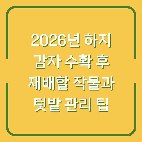 2026년 하지 감자 수확 후 재배할 작물과 텃밭 관리 팁