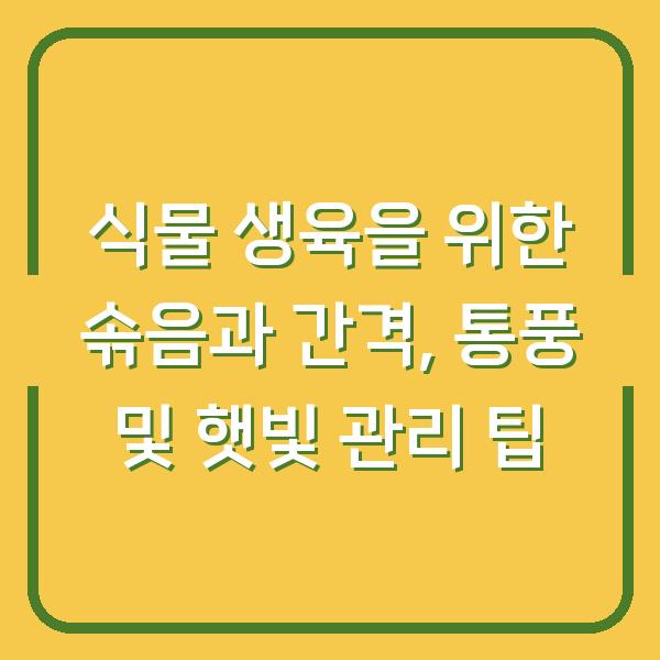 식물 생육을 위한 솎음과 간격, 통풍 및 햇빛 관리 팁