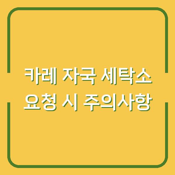 카레 자국 세탁소 요청 시 주의사항