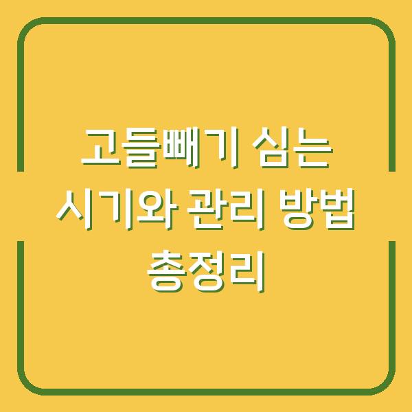 고들빼기 심는 시기와 관리 방법 총정리