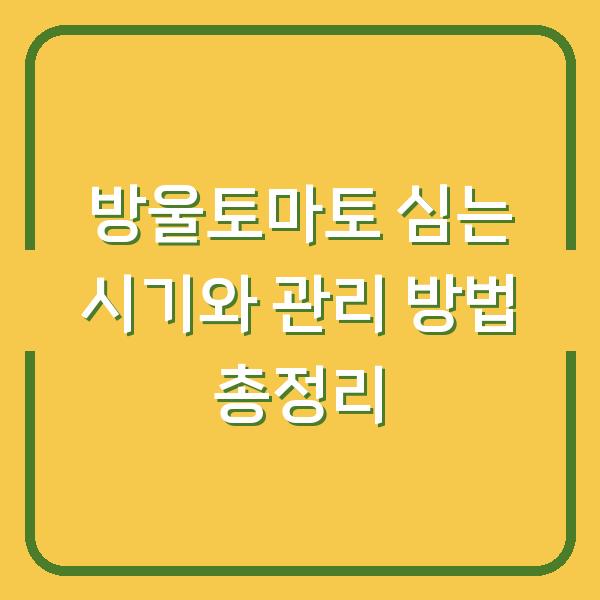 방울토마토 심는 시기와 관리 방법 총정리