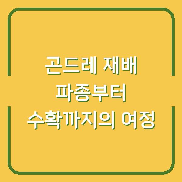 곤드레 재배 파종부터 수확까지의 여정
