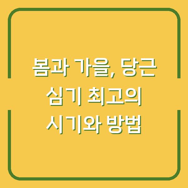봄과 가을, 당근 심기 최고의 시기와 방법