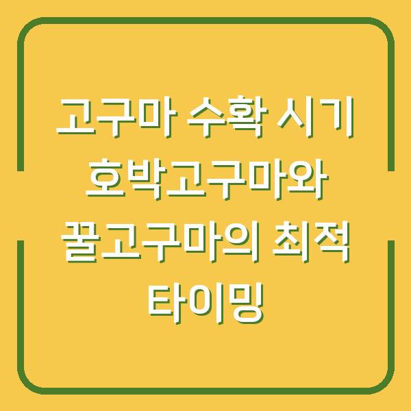 고구마 수확 시기 호박고구마와 꿀고구마의 최적 타이밍