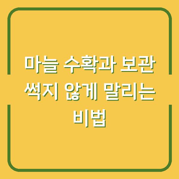 마늘 수확과 보관 썩지 않게 말리는 비법
