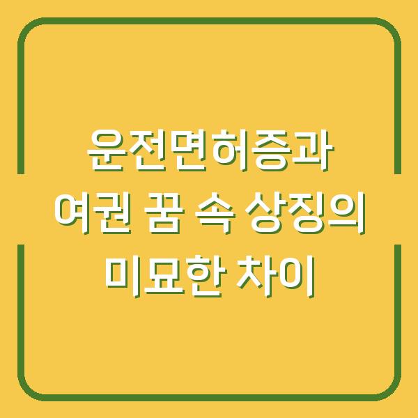 운전면허증과 여권 꿈 속 상징의 미묘한 차이