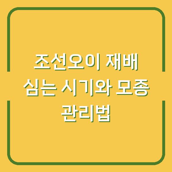 조선오이 재배 심는 시기와 모종 관리법
