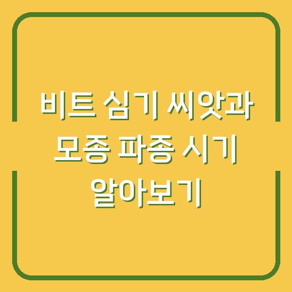 비트 심기 씨앗과 모종 파종 시기 알아보기