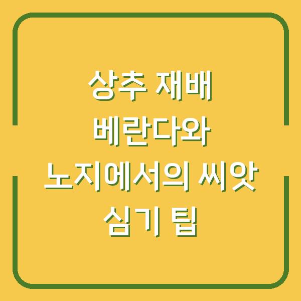 상추 재배 베란다와 노지에서의 씨앗 심기 팁