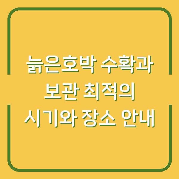 늙은호박 수확과 보관 최적의 시기와 장소 안내