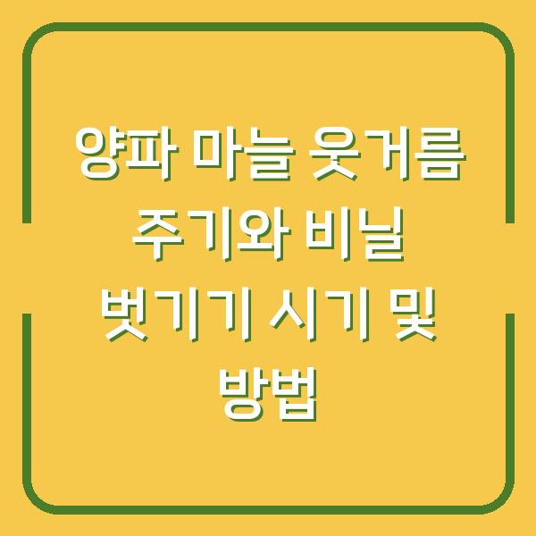 양파 마늘 웃거름 주기와 비닐 벗기기 시기 및 방법