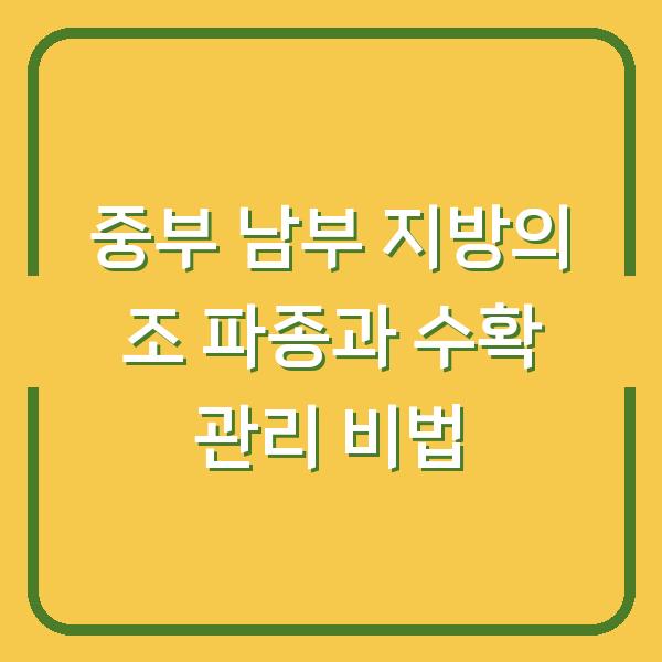 중부 남부 지방의 조 파종과 수확 관리 비법