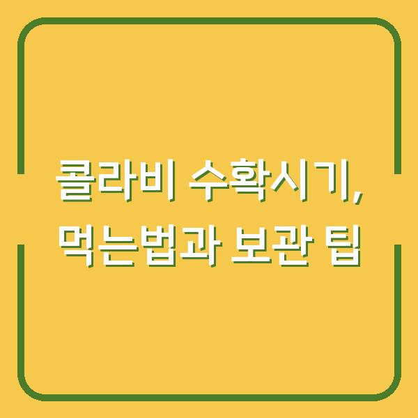 콜라비 수확시기, 먹는법과 보관 팁