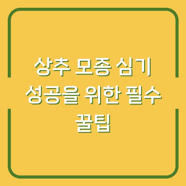 상추 모종 심기 성공을 위한 필수 꿀팁
