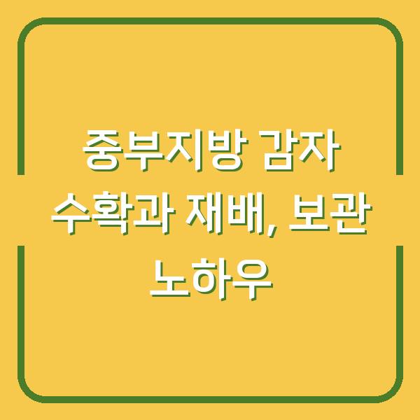 중부지방 감자 수확과 재배, 보관 노하우