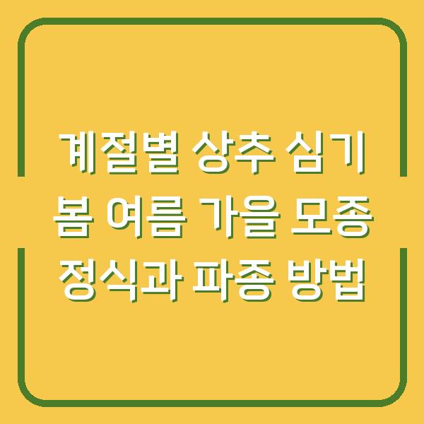계절별 상추 심기 봄 여름 가을 모종 정식과 파종 방법