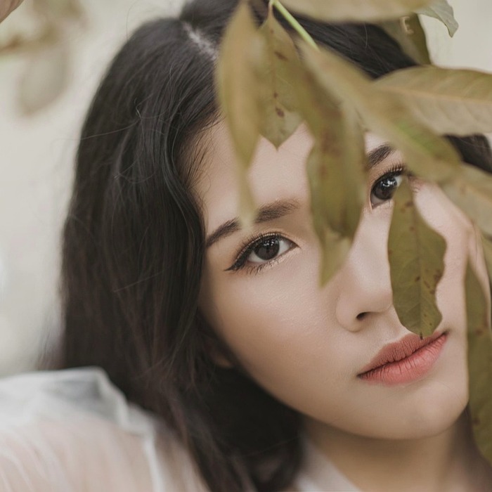 아가씨나무 특성