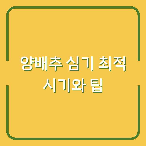 양배추 심기 최적 시기와 팁