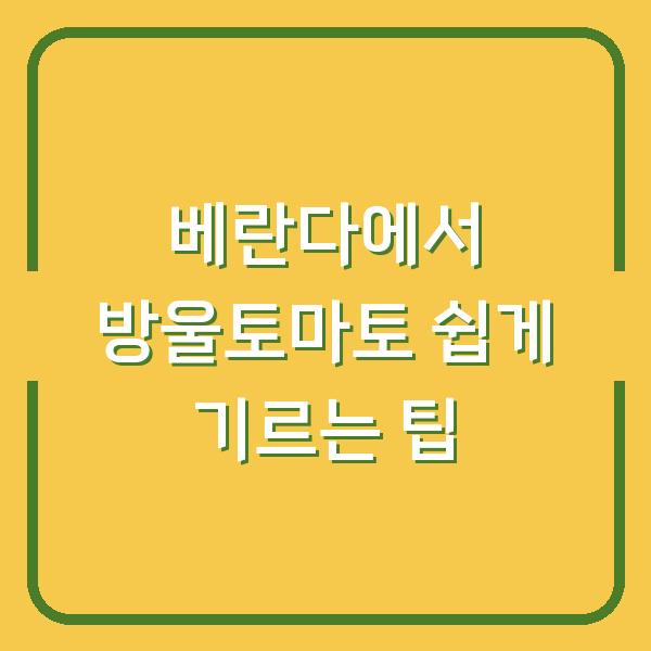 베란다에서 방울토마토 쉽게 기르는 팁