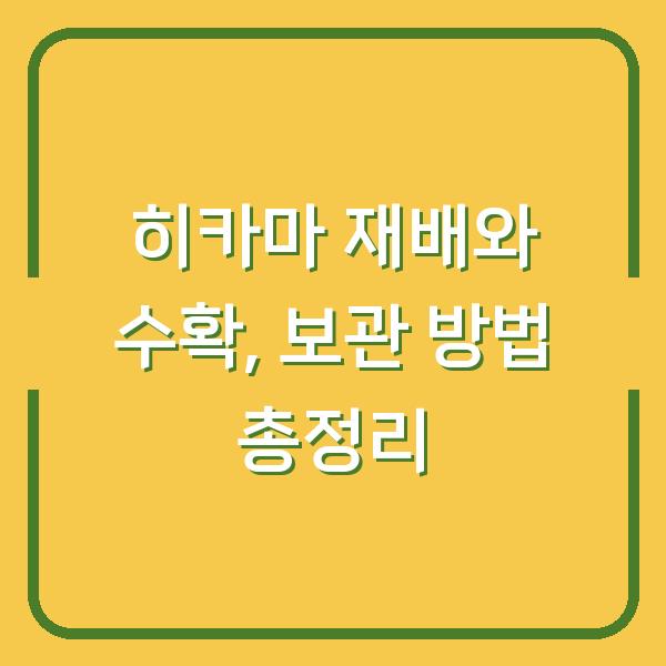 히카마 재배와 수확, 보관 방법 총정리