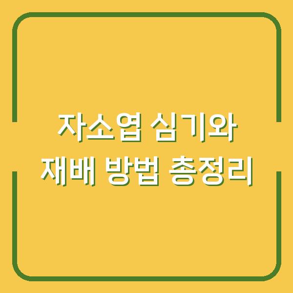 자소엽 심기와 재배 방법 총정리