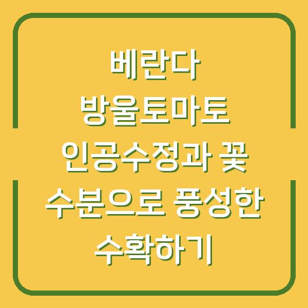 베란다 방울토마토 인공수정과 꽃 수분으로 풍성한 수확하기