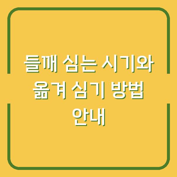 들깨 심는 시기와 옮겨 심기 방법 안내