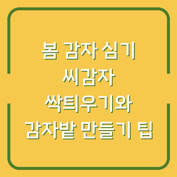 봄 감자 심기 씨감자 싹틔우기와 감자밭 만들기 팁