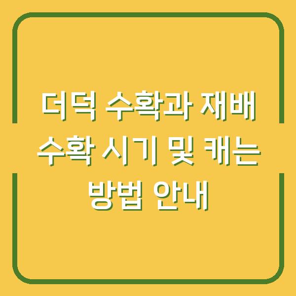 더덕 수확과 재배 수확 시기 및 캐는 방법 안내