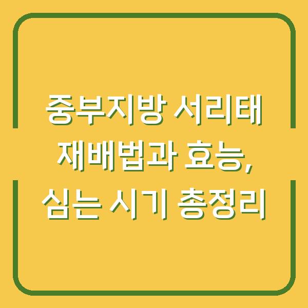 중부지방 서리태 재배법과 효능, 심는 시기 총정리