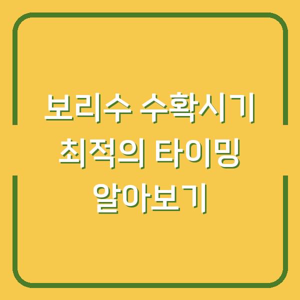 보리수 수확시기 최적의 타이밍 알아보기
