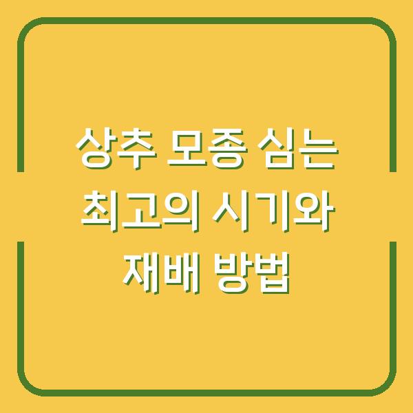 상추 모종 심는 최고의 시기와 재배 방법